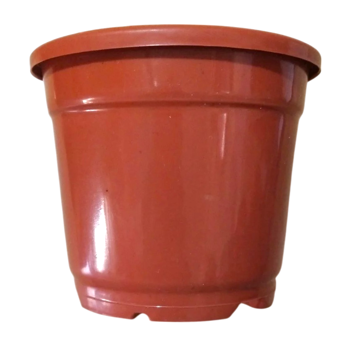 4" With Collar Nursery Pot